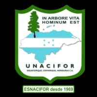 Universidad Nacional de Ciencias Forestales